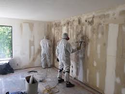 Best Basement Mold Removal  in Prosperity, SC